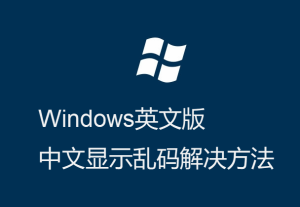 Windows英文版-運(yùn)行程序-顯示界面中文亂碼的解決方法
